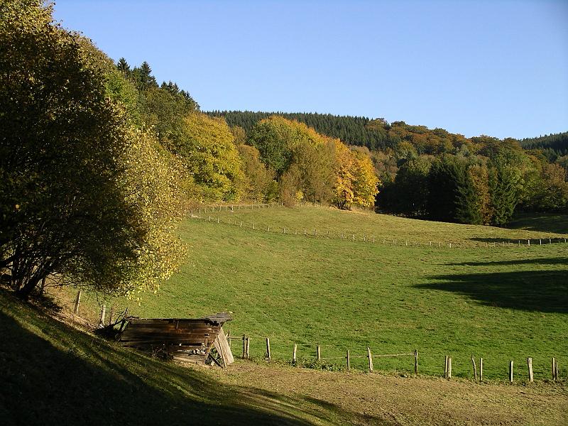 Falls 12.jpg